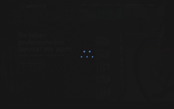 zpn-timing.de