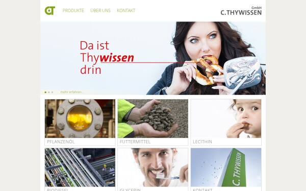 www.c-thywissen.de