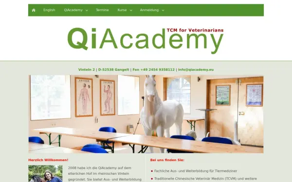 qiacademy.de