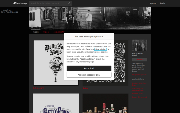 bettyfordboys.bandcamp.com