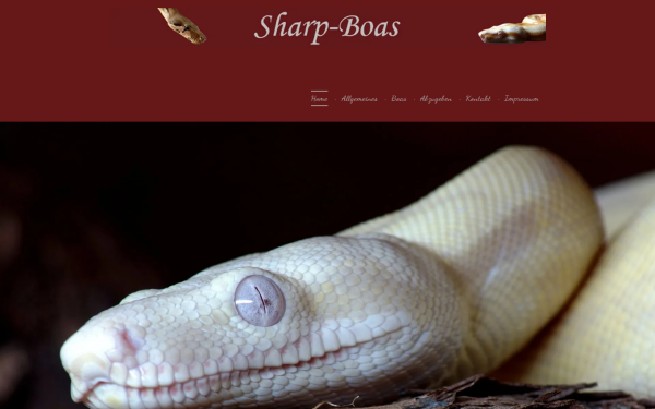 www.sharp-boas.de