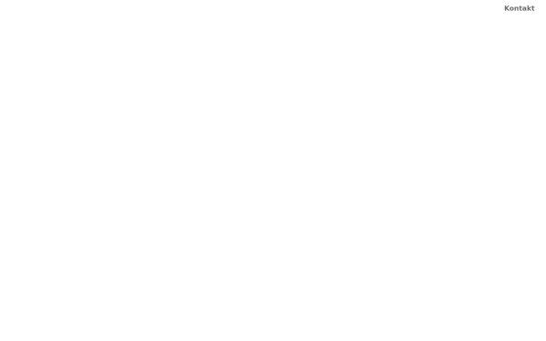 medienagentur-willmann.de
