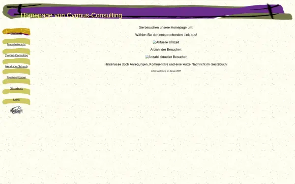 cygnus-consulting.de