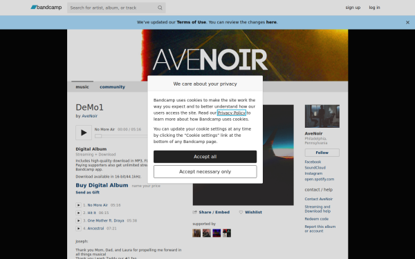 avenoirbandofficial.bandcamp.com