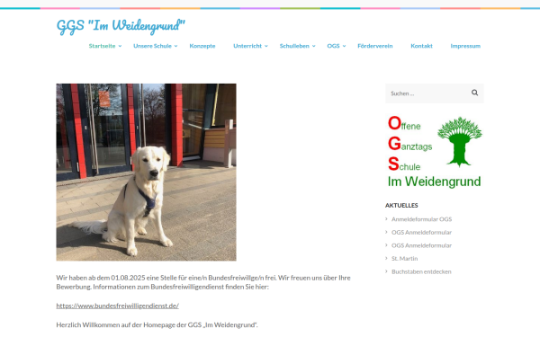ggs-im-weidengrund.de