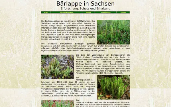 baerlappe.de