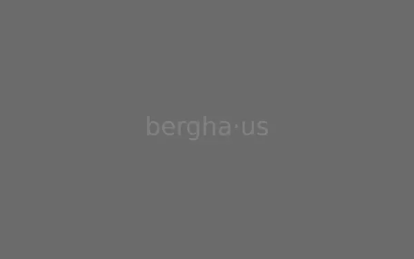 bergha.us
