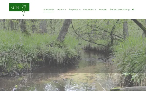 gfnev.de