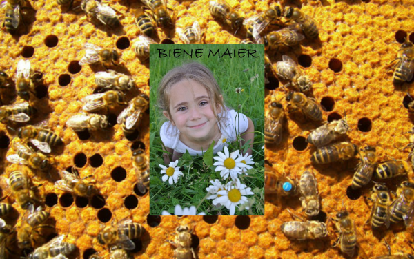 bienemaier.at