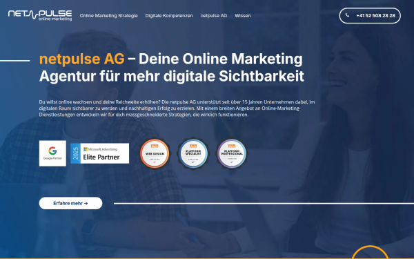 www.netpulse.ch