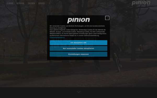 pinion.eu