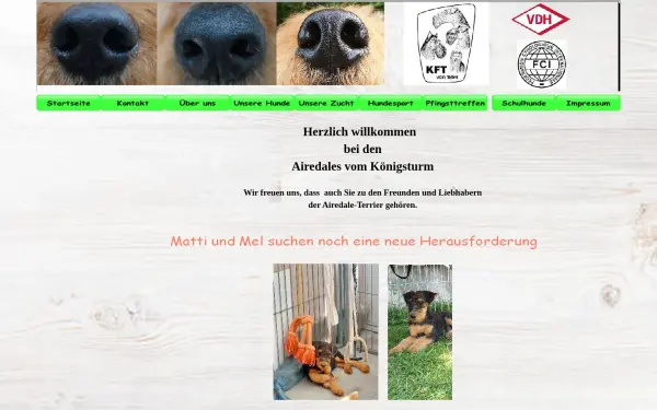 airedales-vom-koenigsturm.de