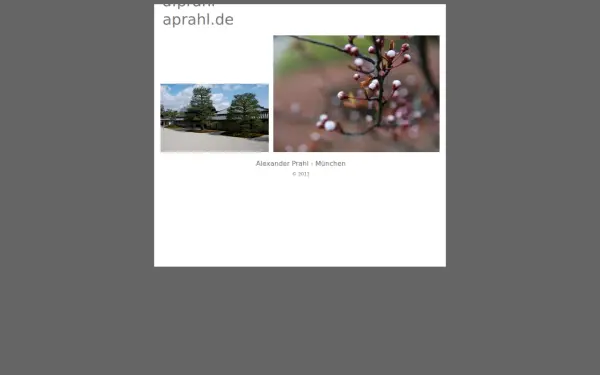 aprahl.de