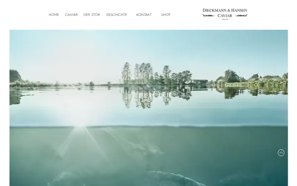 www.dieckmann-hansen.com