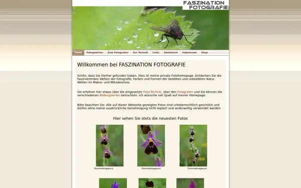 dittmann4.de