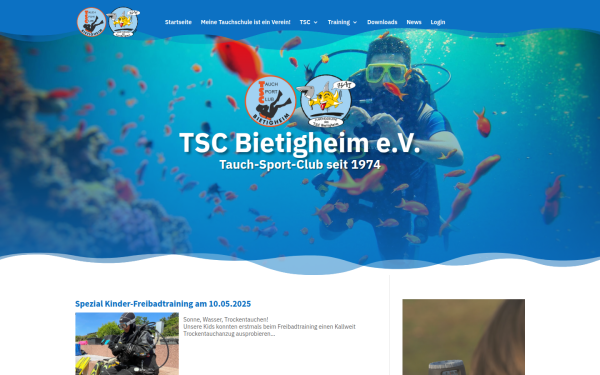 tsc-bietigheim.com