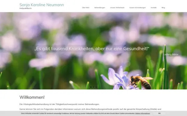 heilpraxis-gesundheit.de