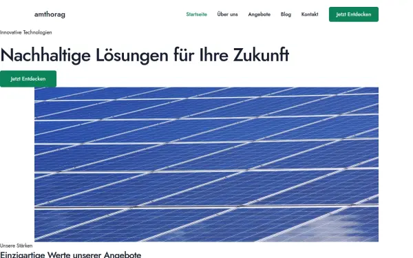 www.amthorag.de