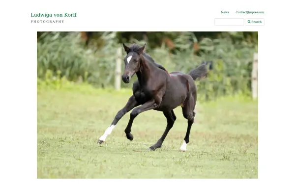 www.ludwiga-von-korff.de