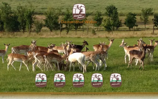 damwild.de