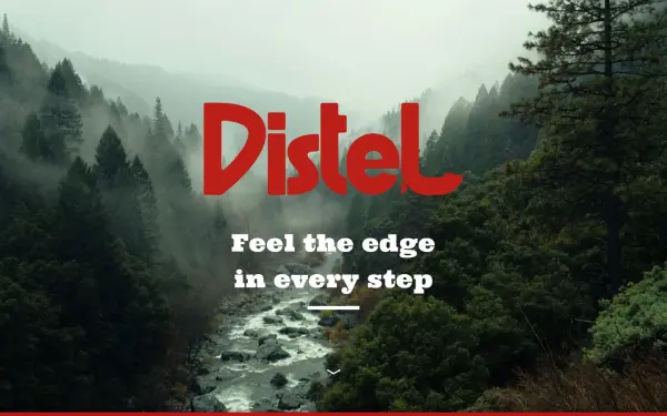 www.distelforst.de