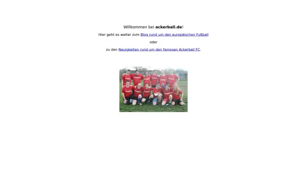 ackerball.de