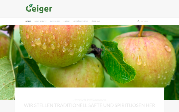 geigergbr.de