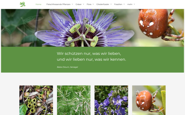 www.bio-schmidhol.ch