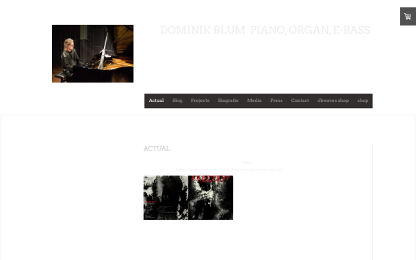 www.dominikblum.com
