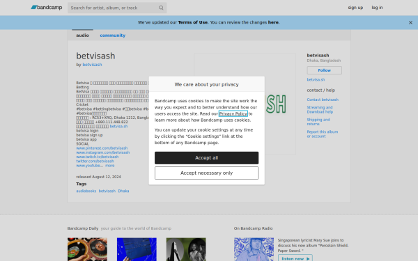 betvisash.bandcamp.com
