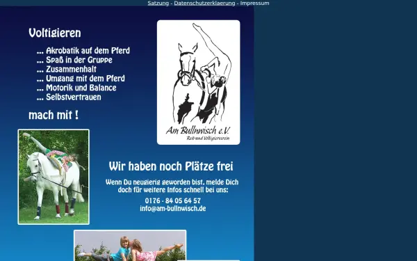 am-bullnwisch.de