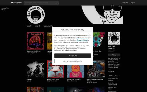 badafrorecords.bandcamp.com
