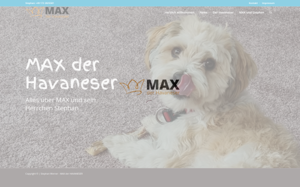 max-der-havaneser.de