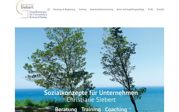 siebert-sozialkonzepte.de