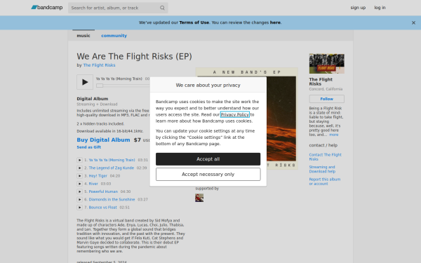 weareflightrisks.bandcamp.com