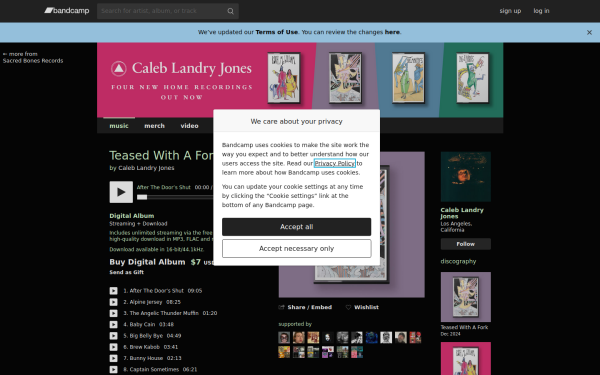 caleblandryjones.bandcamp.com