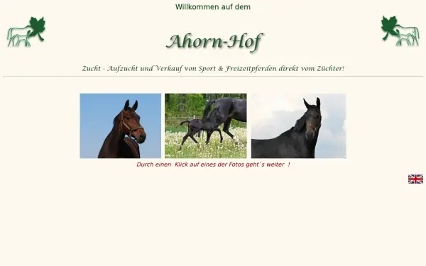 ahorn-hof.de