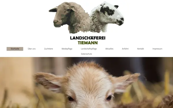 www.mt-uedem.de