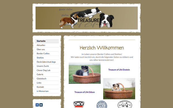 www.mybordercollie.at