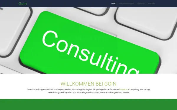 goin-consulting.de