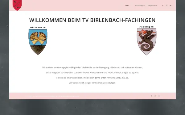 tv-bifa.de