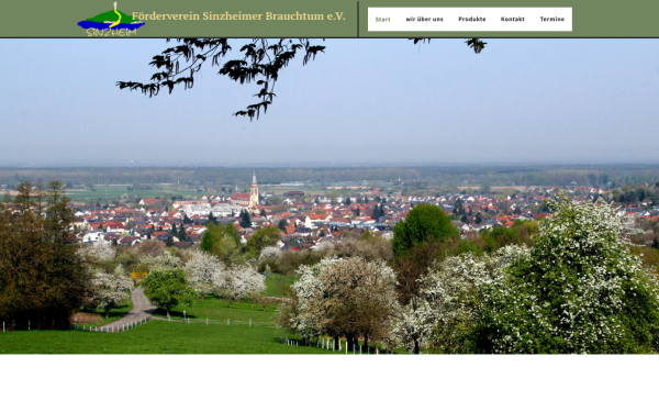 www.fsb-sinzheim.de
