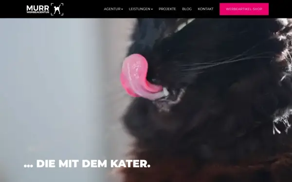 www.werbeagentur-murr.de