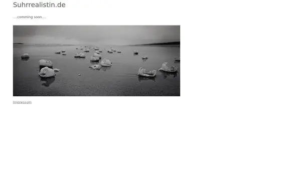 wordpress.suhrrealistin.de