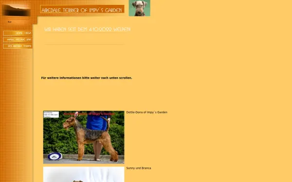 airedale-terrier-of-impys-garden.de