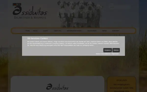 assiduitas.de