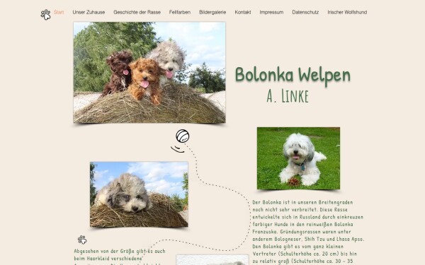 www.bolonka-welpen.de