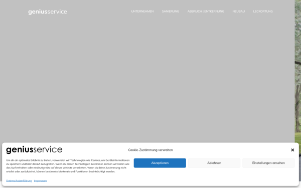 geniusservice.de