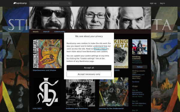 stinkinglizavetaofficial.bandcamp.com