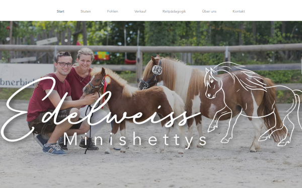 www.edelweiss-minishettys.at